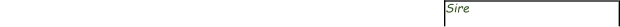 Sire