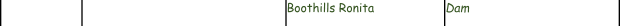 Boothills Ronita Dam