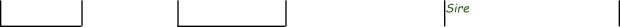 Sire
