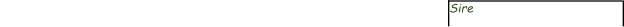 Sire
