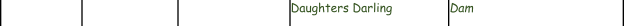 Daughters Darling Dam