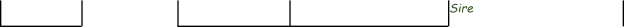 Sire