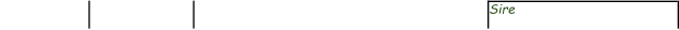 Sire