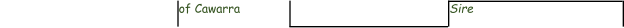 of Cawarra Sire