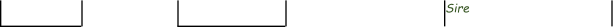 Sire
