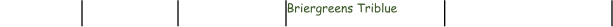 Briergreens Triblue