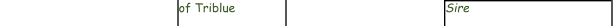 of Triblue   Sire